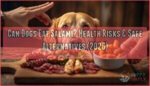 can dogs eat salami can dogs eat salami