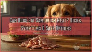 can dogs eat sandwich meat can dogs eat sandwich meat