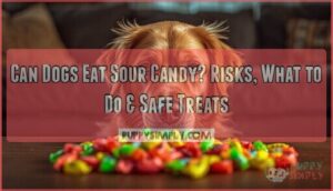 can dogs eat sour candy can dogs eat sour candy