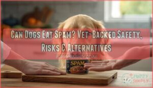 can dogs eat spam can dogs eat spam