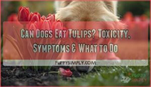 can dogs eat tulips can dogs eat tulips