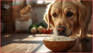 can dogs eat uncooked rice can dogs eat uncooked rice