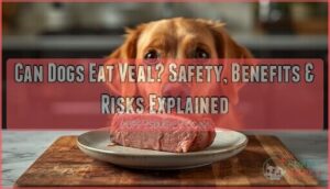 can dogs eat veal can dogs eat veal