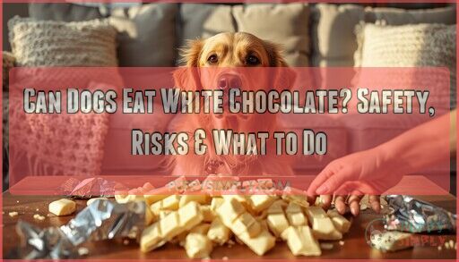 View of Can Dogs Eat White Chocolate? Safety, Risks & What to Do