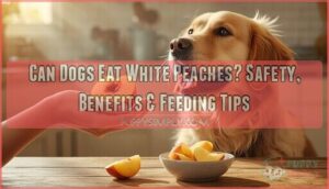 can dogs eat white peaches can dogs eat white peaches