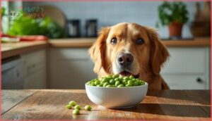 can my dog eat edamame can my dog eat edamame