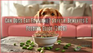 can my dog eat edamame can my dog eat edamame