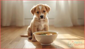 can puppies eat ramen noodles can puppies eat ramen noodles