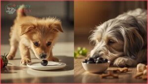 can puppies or senior dogs eat black olives can puppies or senior dogs eat black olives