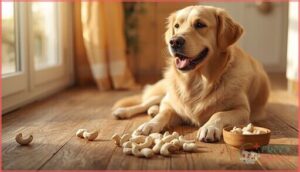 cashews (plain, limited amounts) cashews (plain, limited amounts)