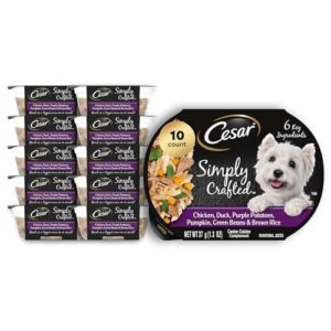 Cesar Simply Crafted Adult Wet B08SP46YY2