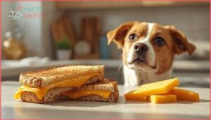 cheese and lactose content cheese and lactose content