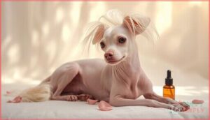 chinese crested chinese crested