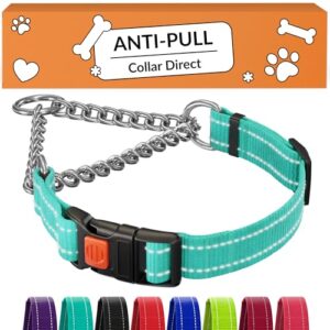 CollarDirect Martingale Dog Collar with B07MC7V7P7