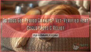 do dogs get period cramps do dogs get period cramps