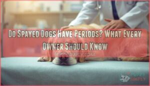 do spayed dogs have periods do spayed dogs have periods