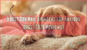 dog nail grinders for anxious dogs