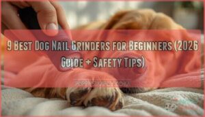 dog nail grinders for beginners dog nail grinders for beginners