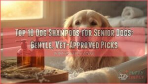 dog shampoos for senior dogs