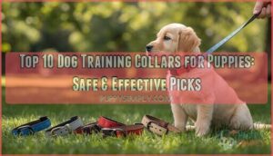 dog training collars for puppies dog training collars for puppies
