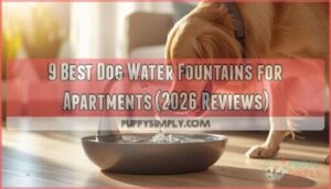 dog water fountains for apartments dog water fountains for apartments