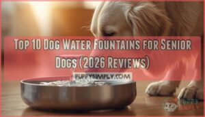 dog water fountains for senior dogs