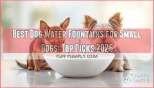 dog water fountains for small dogs