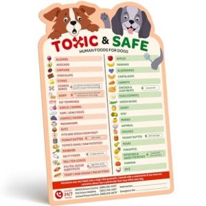 EBPP Magnetic List of Foods B0D2LLQ1XW