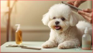 essential grooming for non-shedding dogs essential grooming for non-shedding dogs