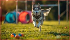 exercise and training needs exercise and training needs