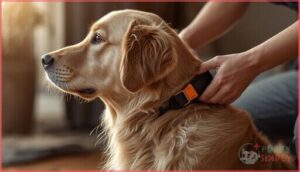 fitting an electronic or remote collar fitting an electronic or remote collar