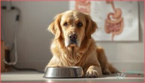 gastrointestinal issues gastrointestinal issues