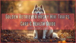 golden retriever husky mix golden retriever husky mix