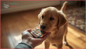 gradual familiarization process gradual familiarization process