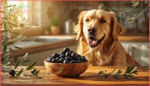 health benefits of black olives for dogs health benefits of black olives for dogs