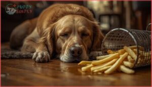 health risks after eating french fries health risks after eating french fries