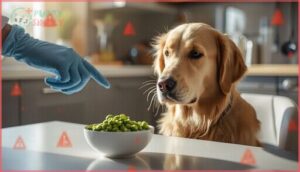 health risks and precautions of edamame health risks and precautions of edamame