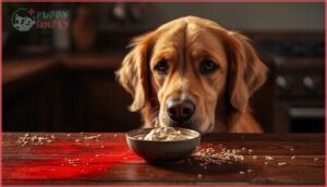 health risks of feeding dogs tahini health risks of feeding dogs tahini