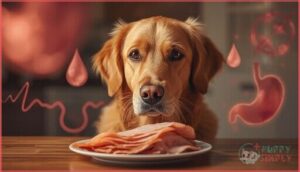 health risks of feeding dogs turkey ham health risks of feeding dogs turkey ham