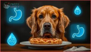 health risks of feeding dogs waffles health risks of feeding dogs waffles