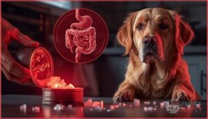 health risks of feeding spam to dogs health risks of feeding spam to dogs