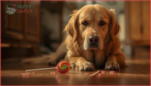 health risks of lollipops for dogs health risks of lollipops for dogs