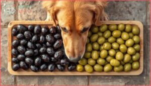 how black olives compare to green olives how black olives compare to green olives