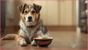 how does ramen affect a dog’s health how does ramen affect a dog’s health