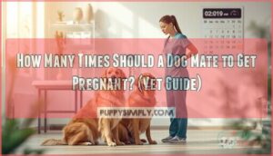 how many times should a dog mate to get pregnant how many times should a dog mate to get pregnant