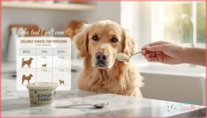 how much cream cheese can dogs have how much cream cheese can dogs have
