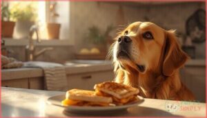 how much grilled cheese is safe for dogs how much grilled cheese is safe for dogs