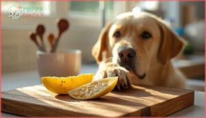 how much jackfruit can dogs eat how much jackfruit can dogs eat