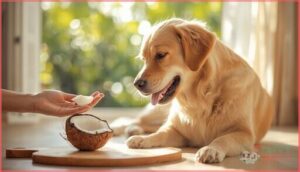 how to safely offer coconut to dogs how to safely offer coconut to dogs
