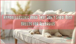 hypoallergenic dogs that don't shed